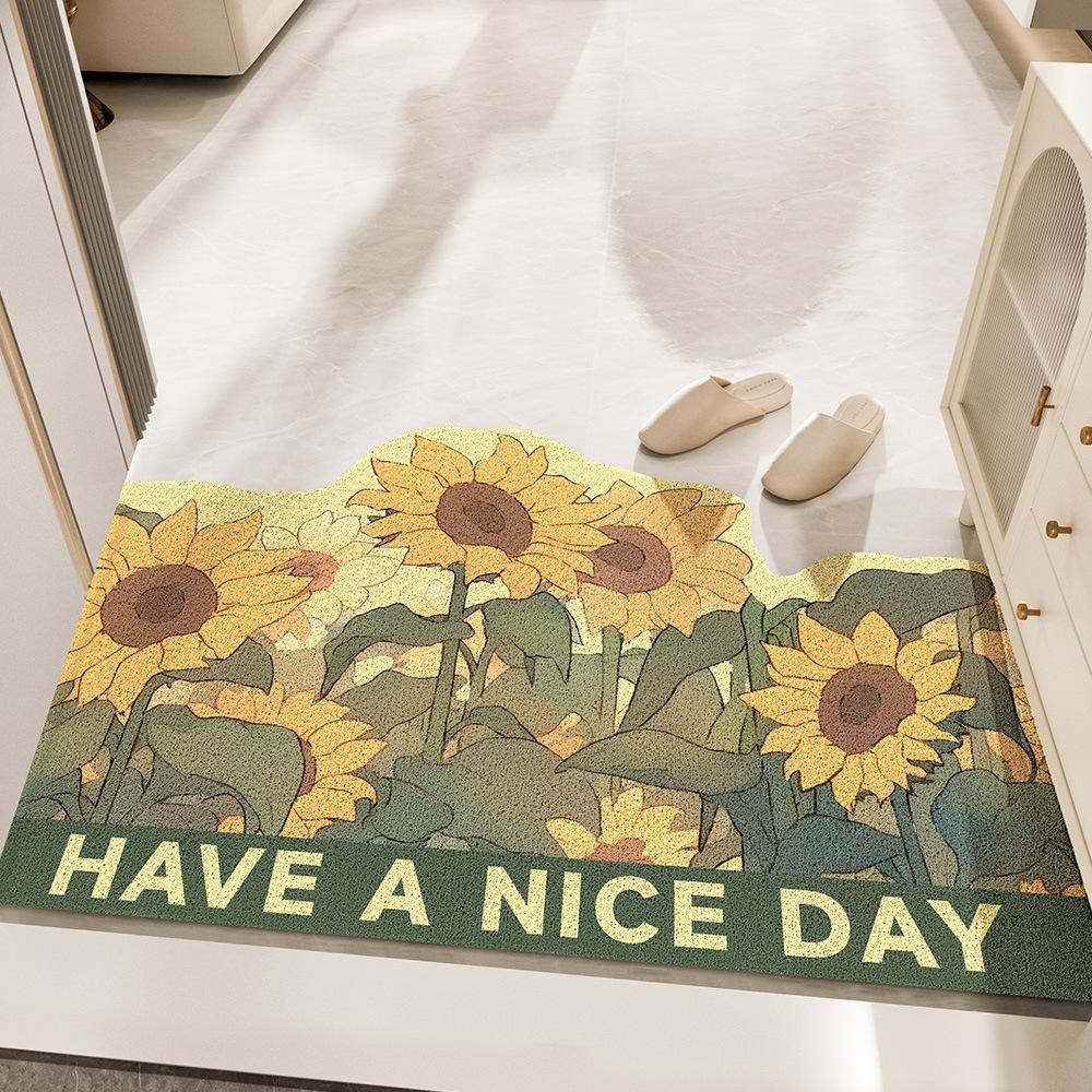 

Маленький коврик для дома, устойчивый к грязи, царапающий входную дверь, коврик для ног с рисунком из шелкового кольца, ковер для прихожей 45*75cm