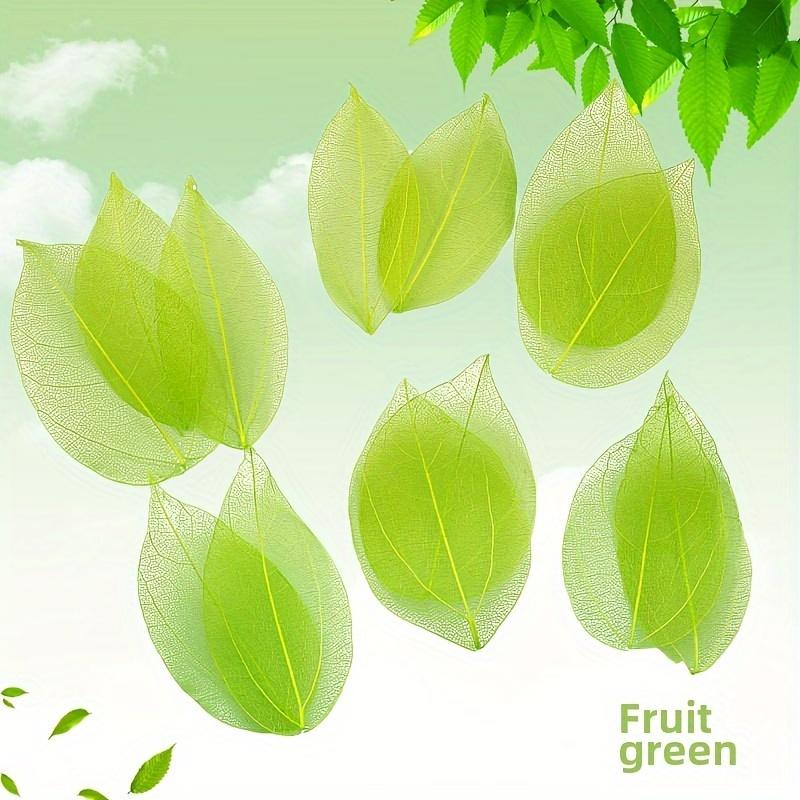 10pcs Colorful Diamond-Veined Pressed Flowers, Decorative Art Dried Flowers, DIY Handmade Materials For Making Accessories