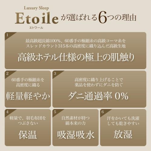 Etoile Single Duvet Cover, Made In Japan, 100% Cotton Satin Stripe, Dust Mite Resistant, 315-Thread High-Density Fabric, Luxury Hotel-Quality, Scandin