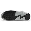 Nike Air Max 90 Prm Light Smoke Grey DA1641-001