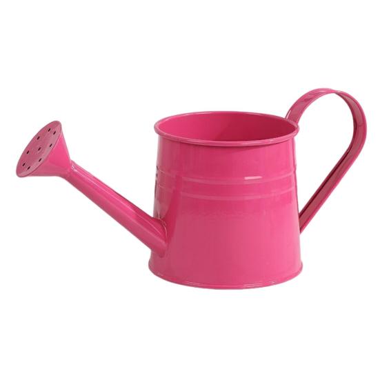 

Металлическая лейка для комнатных растений, лейка с широким горлышком, деревенская ваза для цветочной композиции с ручкой для балкона, офиса, гостиной розы красного