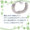 [Adelina Style] Hoop Earrings Popularity Leave It On 1 Pair Ring Earrings Silver 925 Made of Pure Silver Men's Ladies Compatible with Metal Allergies