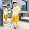 Summer Boys Purple Sets Korean High Street Fashion Kids T-shirts + Shorts 2 Piece Set  Children's Sports Suits