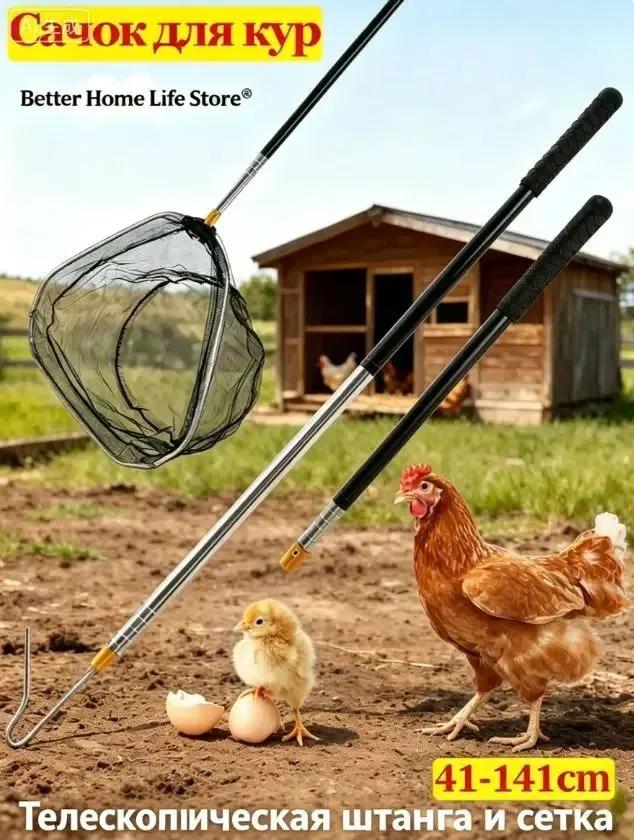 Accessory for Livestock Cages