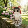 Rock Roll Style Pet Leaky Ear Cap Wig Cap Pet Cosplay Headwear Funny Cat Hat  Party Costume