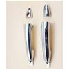 Outer Door Handle Assembly for FAW Pentium Besturn X80