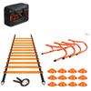 Agility Training Kit: Ladder, Dribbling Bag, Markers, Cones & Resistance Band - Compact & Popular