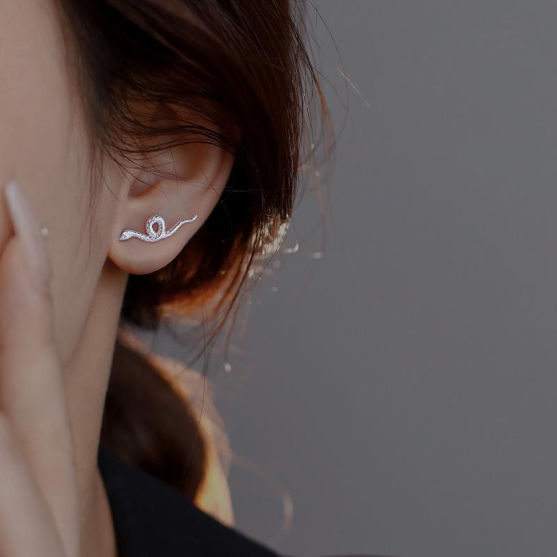 

Silver-Plated Snake Stud Earrings for Women - European & American Fashion