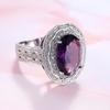 Women's Zircon Ring with Purplish-Red Gemstone: European & American Fashion Jewelry