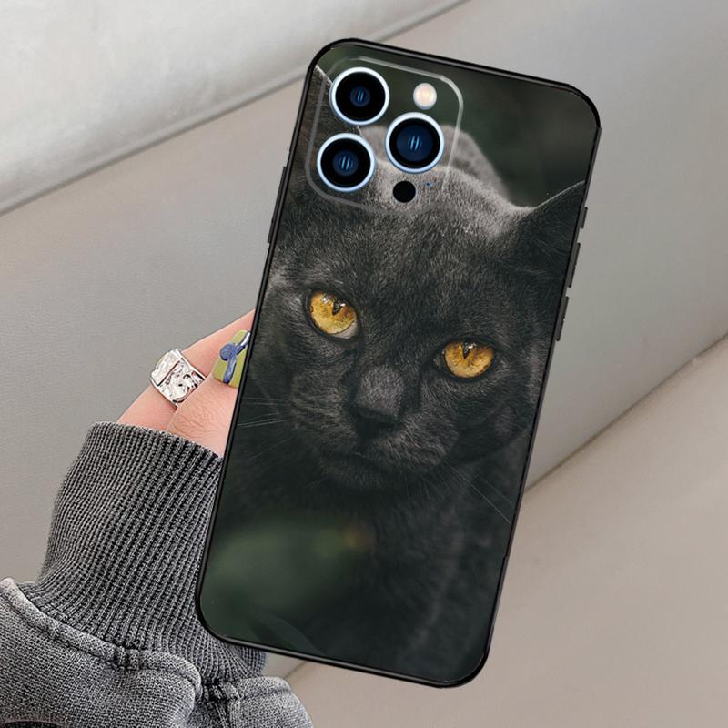 Black Cat Staring Eye Phone Case For iPhone 16 15 13 12 11 14 Pro Max 15 16 Plus 12 13 mini XR 16e Funda Cover