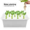11 Löcher Hydroponisches System Pflanzen Anbauen Blume Wasser Erdlose Kultur Box (Weiß, )