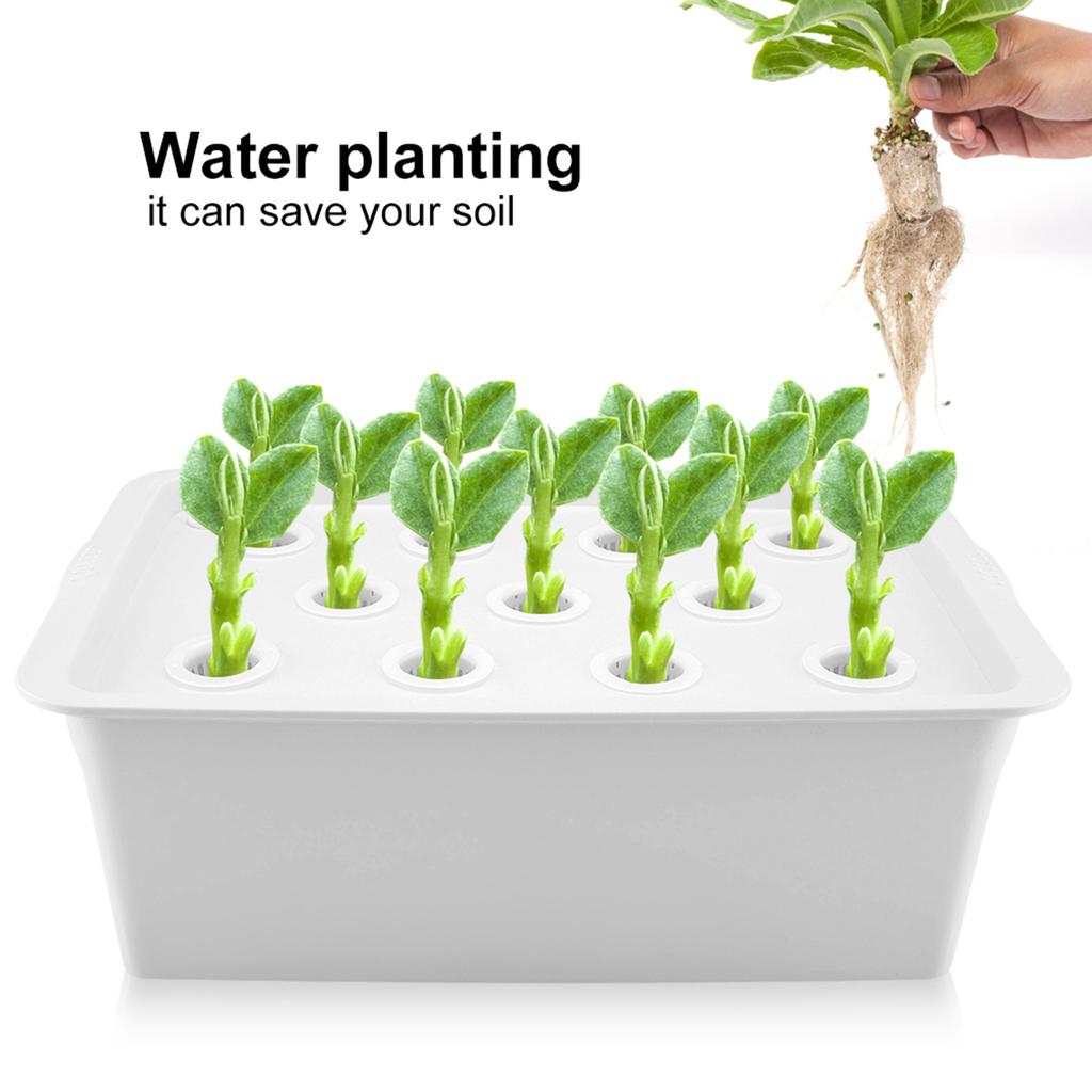 11 Löcher Hydroponisches System Pflanzen Anbauen Blume Wasser Erdlose Kultur Box (Weiß, )