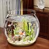 Goldfish Bowl Round Fish Bowl Plastic Fish Viewing Tank Desktop Fish Tank  Desktop Decoration