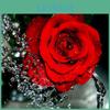 Flower Diamond 5d Diy Painting Rose Full Round Rhinestones Picture Diamond Embroidery
