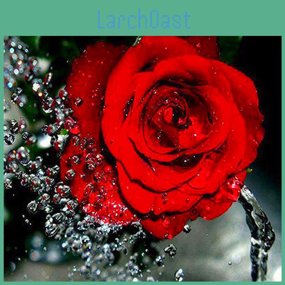 Flower Diamond 5d Diy Painting Rose Full Round Rhinestones Picture Diamond Embroidery