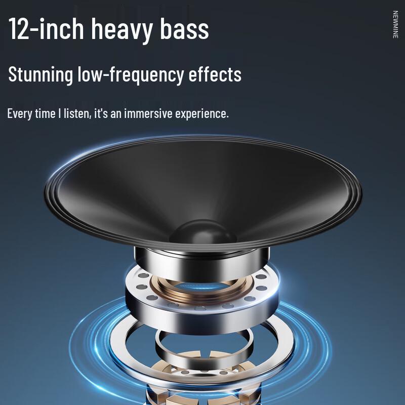 Newmine N530 12-inch Portable Bluetooth Karaoke Speaker (CN version)
