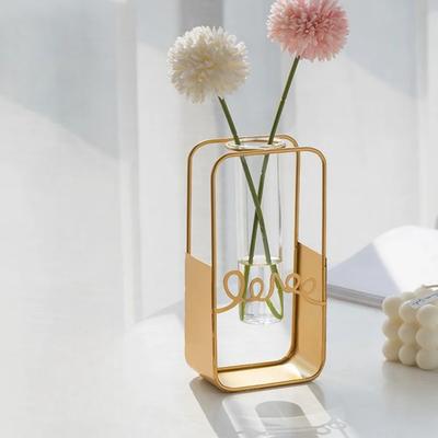 Modern Simple Hydroponic Vase Decorative Transparent Glass Water-grown Vases for Indoor Living Room Small Decorative Items