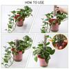 Pack of 2 Climbing Plant Pole Sphagnum Stick Vertical Support Reusable Indoor Outdoor Garden Ground Spike Connection Port