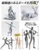 CHALAN Drawing Movable Figure with 30 Moveable Joints and Stand by Professional Manga Drawing Male and Posing Muscular Drawing Character Art Female