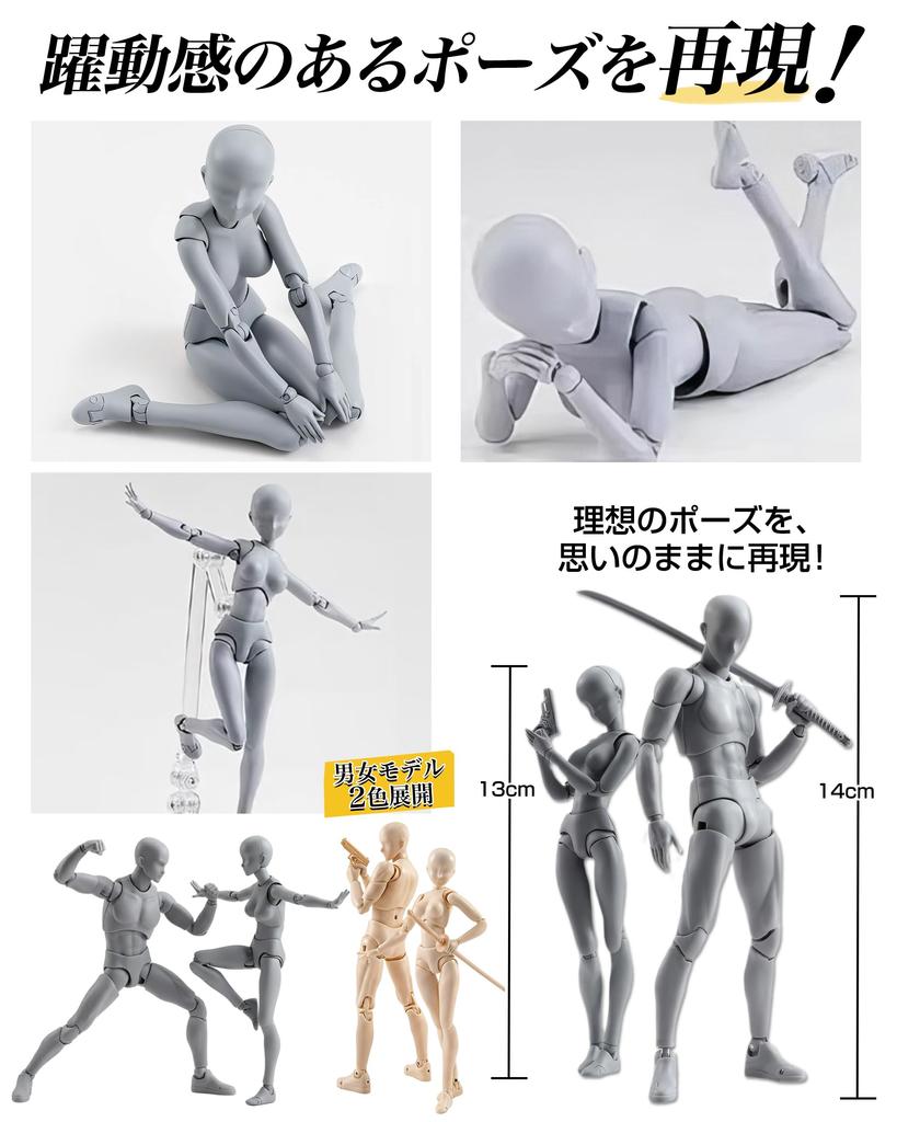CHALAN Drawing Movable Figure with 30 Moveable Joints and Stand by Professional Manga Drawing Male and Posing Muscular Drawing Character Art Female