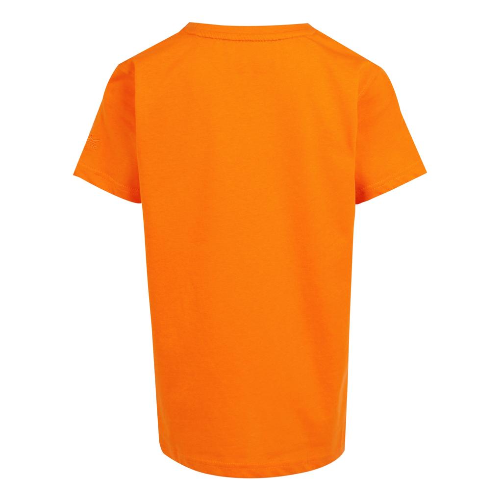 Regatta Childrens/Kids Bosley VII Surfboard T-Shirt