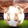 Cute Puppy Indoor Size 5 Soccer Ball Colorful Machine Stitched PVC Competition Ready Durable High-Bounce