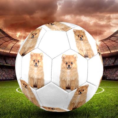 Cute Puppy Indoor Size 5 Soccer Ball Colorful Machine Stitched PVC Competition Ready Durable High-Bounce