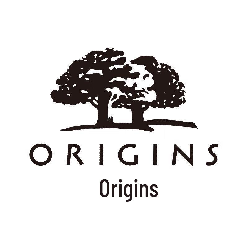 Origins Balancing Foam Cleansing Mousse