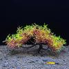 Plastic Artificial Pine Tree  Simulated Plant Home Ornaments Water Grass  For Aquarium