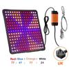 LED Full Spectrum Phyto Lamp Hanging Plants Grow Light Panel Seeds Hydroponics Greenhouse Cultivation Veg Flower Growth Lamp