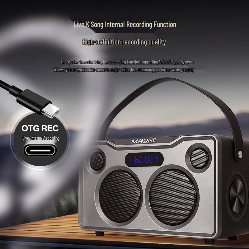 MALONE Portable Bluetooth Karaoke Speaker GT-025A CN plug (adapter included)