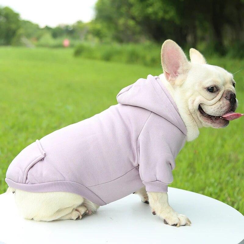 Modische Hundebekleidung Herbst und Winter Kleine Haustierkleidung Verdickend Warm Einfarbig Zweibeinig Kapuzenpullover Lässige Haustierprodukte