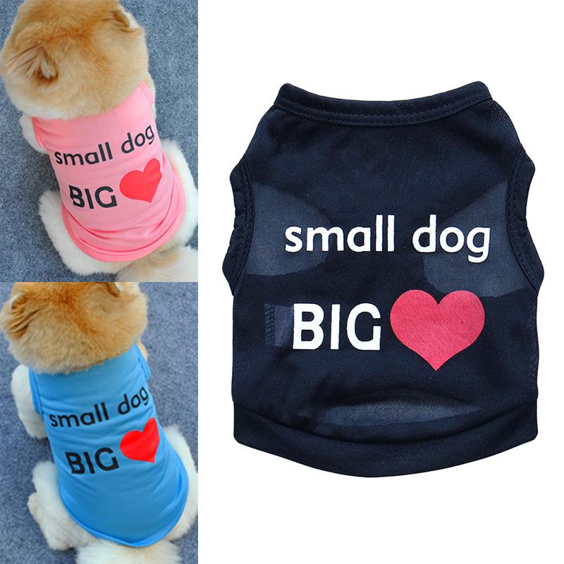 small dog shirt