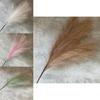 Artificial Feather Phoenix Tail Arrangement For Wedding Photo Props Home Event Decor