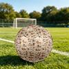 1pc Dogs Various Outfits Theme Soccer Ball Football, Size 5, Lightweight PVC, Outdoor Training Soccer Ball,Gift C6582