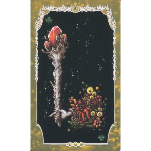 Fairy Tale Tarot Marseille Edition "Story's ~Slippers Telling~