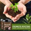 Microbial Agent Promote Rooting Plant Prevent Hardening for Flower Plant Growing