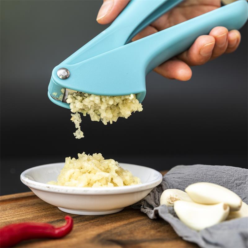 Thickened Mini Multifunctional Manual Garlic Press and Mincer Gadget