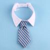 Cross-Border Foreign Trade Amazon Pet Cat Tie British Gentleman Wedding Bow Tie Accessories Cute Red Black