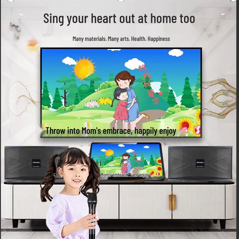 SANSUI Professional KTV Home Karaoke Speaker System CN Plug (adapter Included)