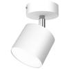 Plafoniere și lustre – Proiectoare