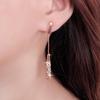 1Pair Personality Earrings Female Fashion And Elegant Long Drop-Shaped Alloy Earrings Rose Gold Earrings