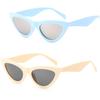 Lady Women Girls Lovely Shape Eyeglasses Small Frame Summer Beach UV400 Eyewear