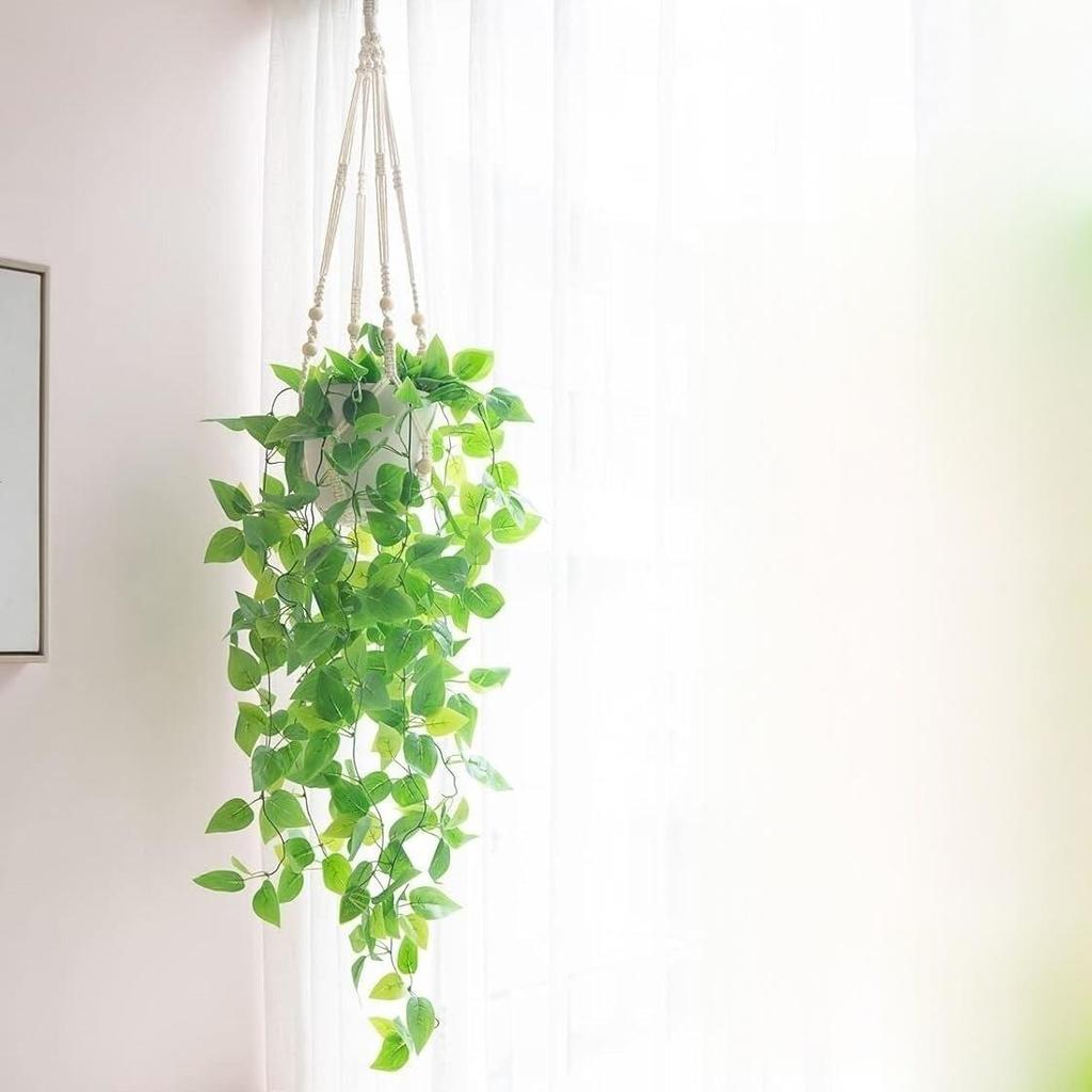 Artificial String of Pearls Vine: Cross-Border Hanging Green Plant for Home and Living Room Décor