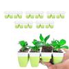 5 Pcs Plant Starting Tray Silicone Reusable Pop Out Cells Indoor Plant Germination Tray for Vegetables Fruits Flowers