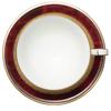 Noritake Hemingway Maroon Bone China Cup and Saucer Both Coffee and (for Tea), 220cc, Y59587/4733