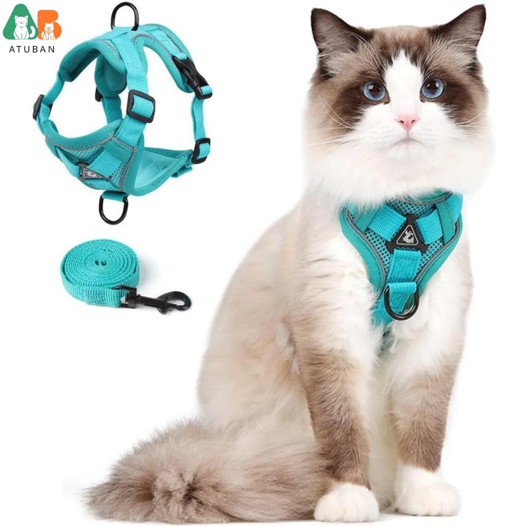 Ensemble Harnais et Laisse pour Chat de Petite à Grande Taille Harnais Gilet Réglable pour Chat Bordure Réfléchissante Laisse et Harnais Universels pour Chat