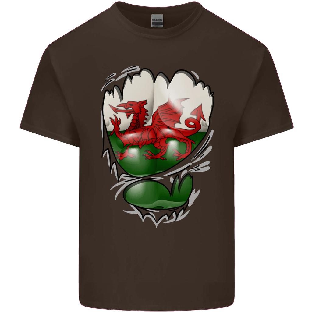 Gym The Welsh Flag Ripped Muscles Wales Unisexs Light Cotton TShirt