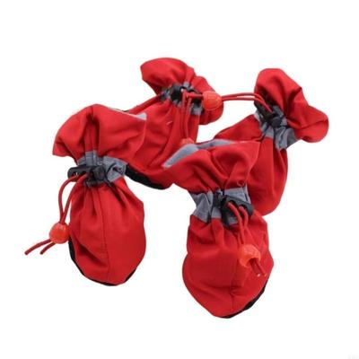 Ropa y calzado – Zapatos para perros