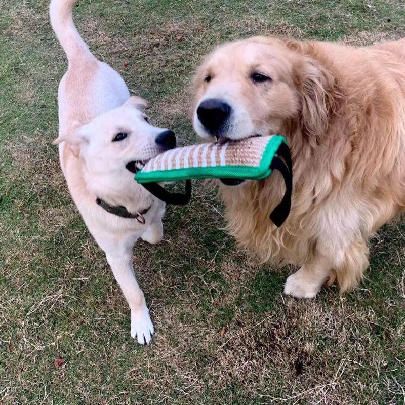 Dog Molar Toy with 2 Handles Tossing Teething Game Toy Reflective Pillow